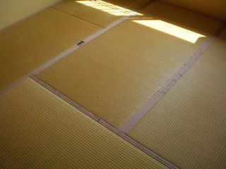 before-4